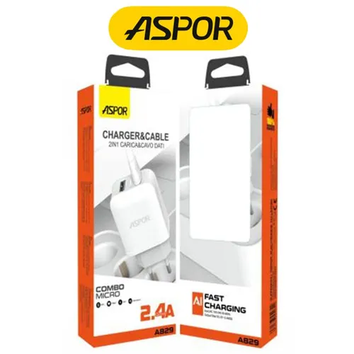 A829 Adapter With iPhone Cable