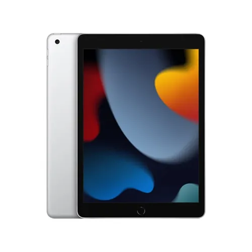 Apple iPad 10.2-inch 2021 9th Gen WiFi 256GB