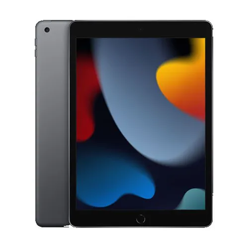 Apple iPad 9th Gen 2021 256GB WIFI Only