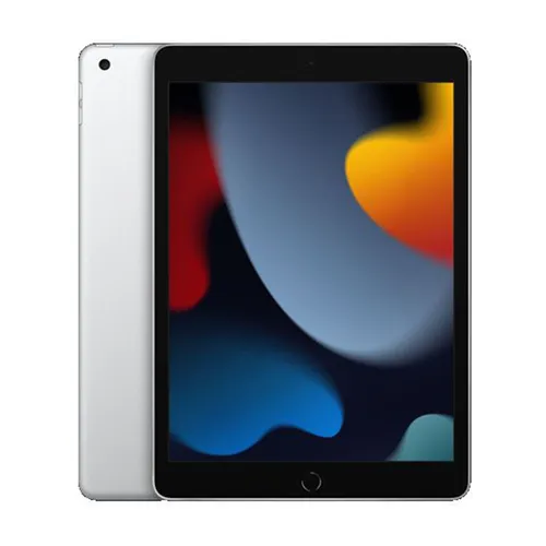 Apple iPad 9th Gen 2021 256GB WIFI Only