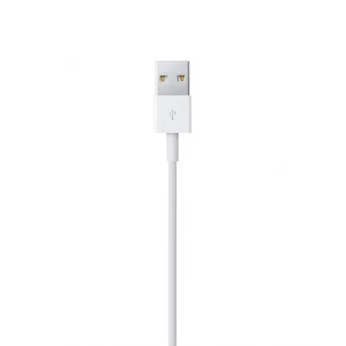 Apple Lightning to USB Cable 1m - UAE Version