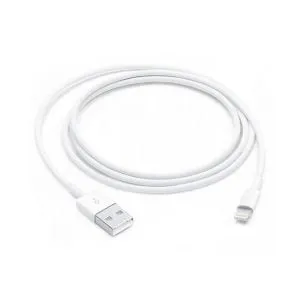 Apple Lightning to USB Cable