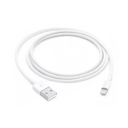 Apple Lightning to USB Cable