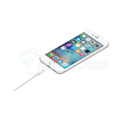 Apple Lightning to USB Cable