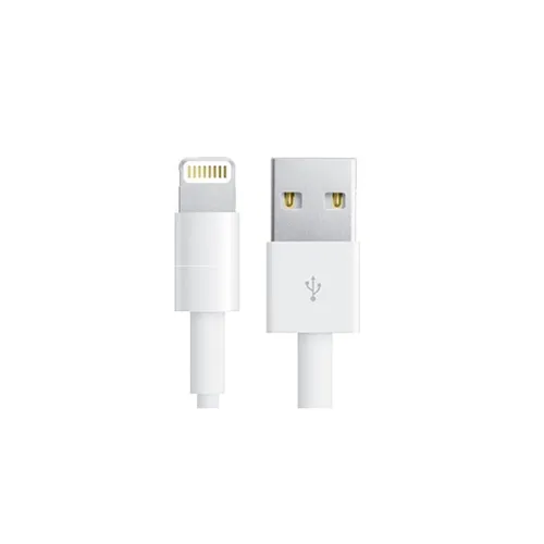 Apple Lightning To USB Cable - CN Version