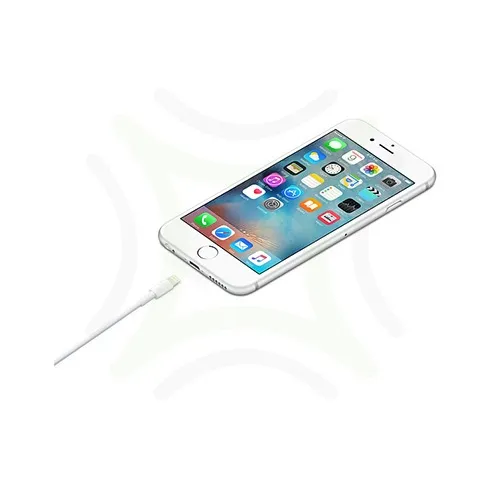 Apple Lightning to USB Cable