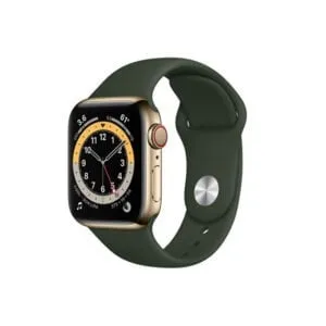 Apple Watch Series 6 40MM Gold Stainless Steel GPS + Cellular - Cyprus Green Sport Band