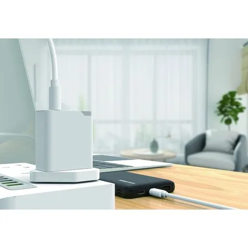 Aspor A827 2.4A Smart Fast Charger With Micro Cable