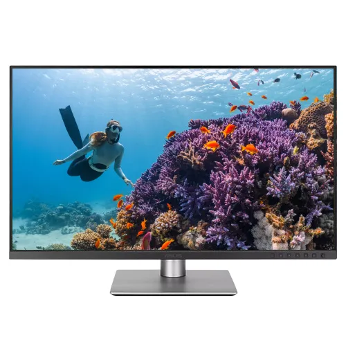 Asus ProArt 31.5" PA329CRV 4k Monitor