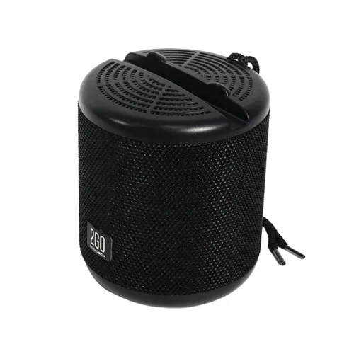 Audiobox 2GO Dock 100 Bluetooth Portable Speaker With Phone Docking