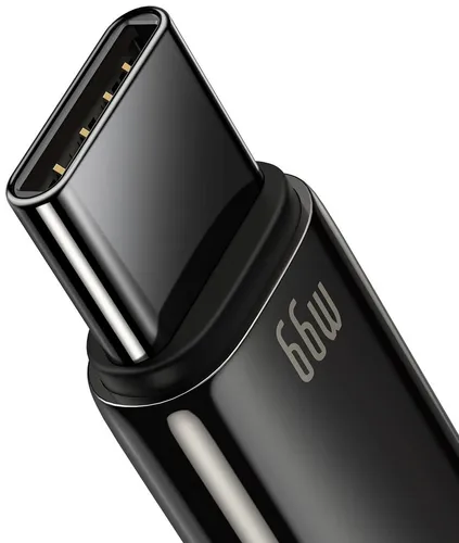 BASEUS Tungsten Gold Fast Charging Data Cable USB To Type-C 66W 1M CATWJ-B01