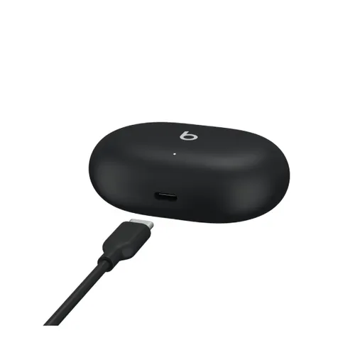 Beats Studio Buds True Wireless Noise Cancelling Earbuds