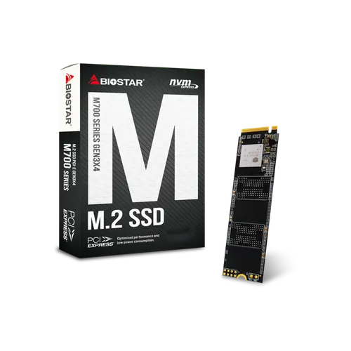 BIOSTAR M700 128GB M.2 SSD (3y)
