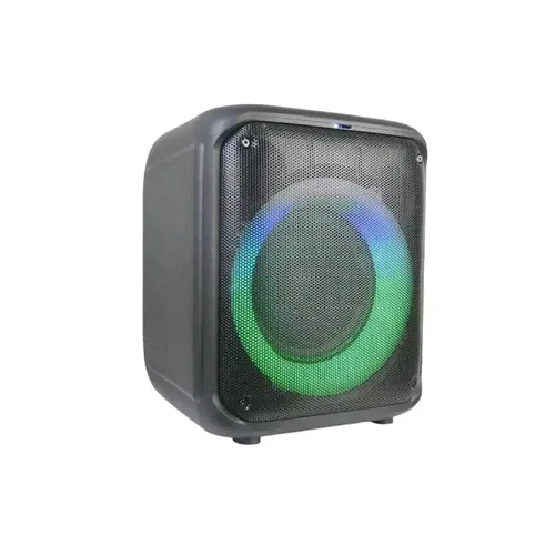 Brodu BTS-1739 Bluetooth Karaoke Speaker
