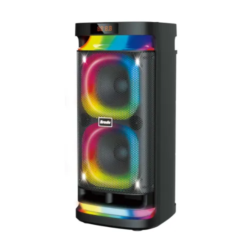 Brodu BTS-1989 Bluetooth Karaoke 22" Speaker With 2 Microphone