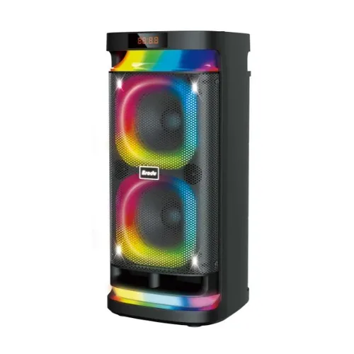 Brodu BTS-1989 Bluetooth Karaoke 22 Speaker With 2 Microphone