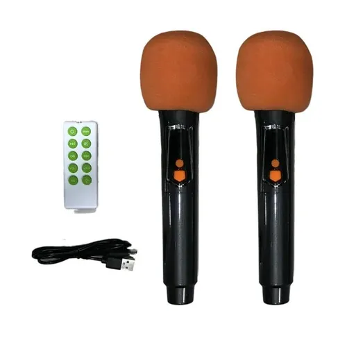 Brodu BTS-1989 Bluetooth Karaoke 22 Speaker With 2 Microphone