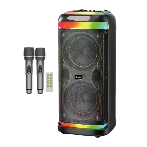 Brodu BTS-2099 Bluetooth Karaoke Speaker