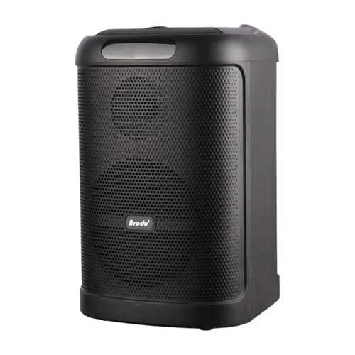 Brodu BTS-2101 Bluetooth Karaoke Speaker