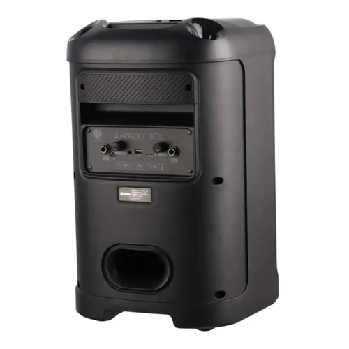Brodu BTS-2101 Bluetooth Karaoke Speaker