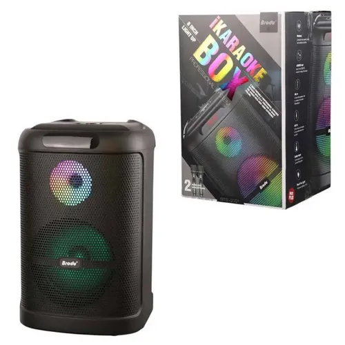 Brodu BTS-2101 Bluetooth Karaoke Speaker