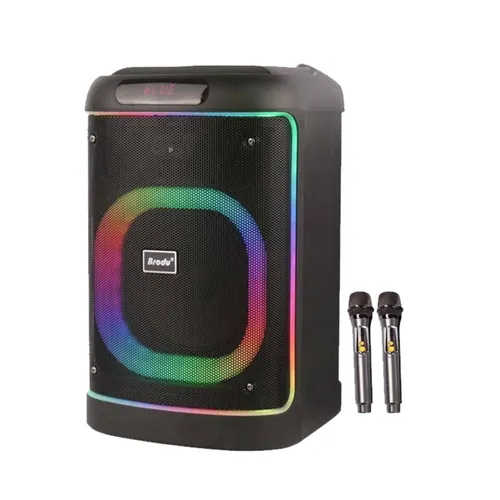 Brodu BTS-2103 Bluetooth Karaoke Speaker