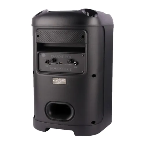 Brodu BTS-2103 Bluetooth Karaoke Speaker