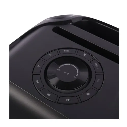 Brodu BTS-2103 Bluetooth Karaoke Speaker