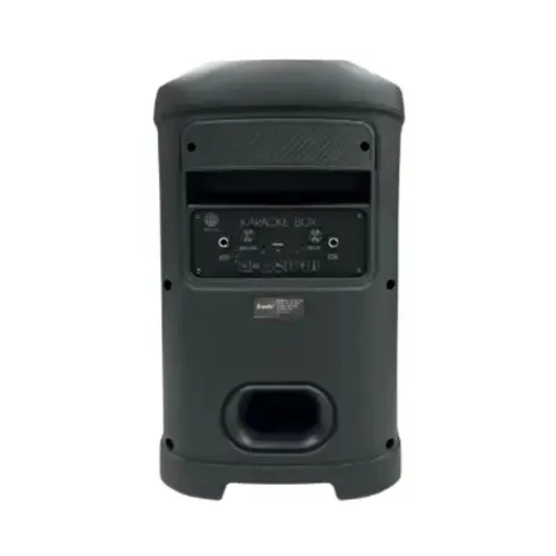 Brodu BTS-2105 Bluetooth Karaoke Speaker
