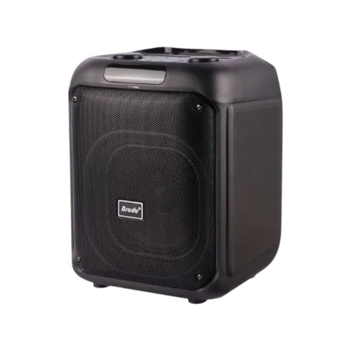 Brodu BTS-2107 Bluetooth Karaoke Speaker
