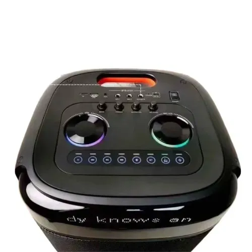 Brodu BTS- 2121 Bluetooth Karaoke Speaker