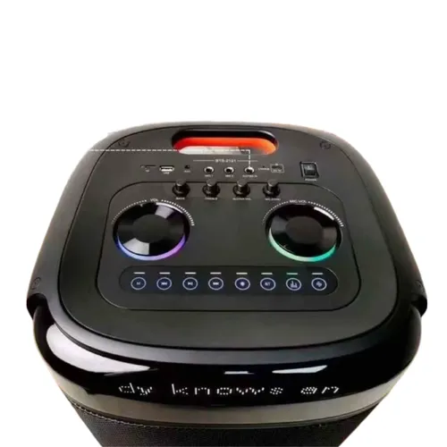 Brodu BTS-2121 Bluetooth Karaoke Speaker