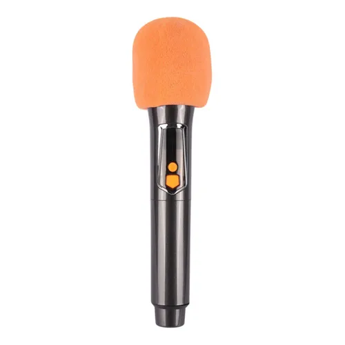 Brodu BTS-2173 Bluetooth karaoke Speaker