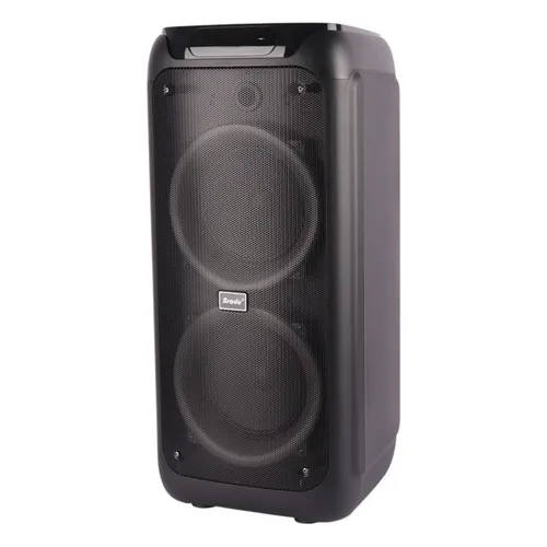 Brodu BTS-2173 Bluetooth karaoke Speaker