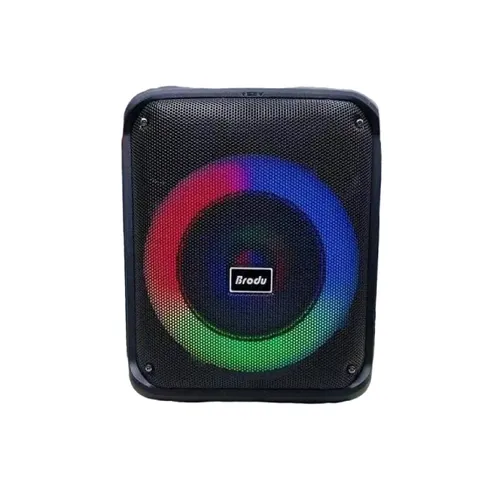 BTS-1739 Bluetooth Karaoke Speaker