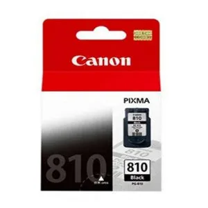Canon Ink PG-810 Black Original Cartridge
