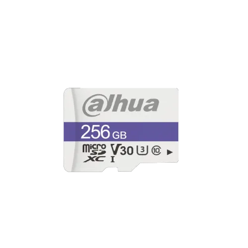 DAHUA DHI-TF-C100/256GB MICROSD(5y)