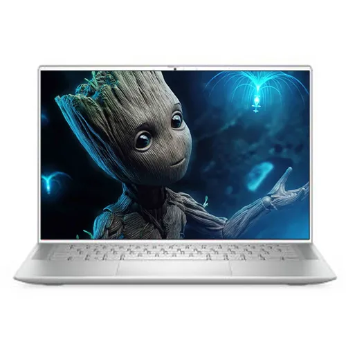 Dell Inspiron 5310 ( Core i7 / Silver )