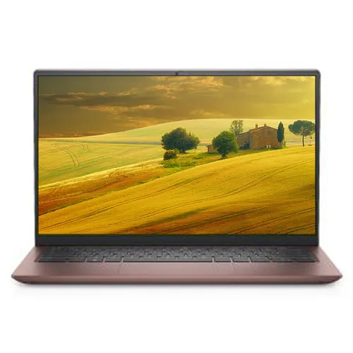 Dell Inspiron 5410 ( Core i7 / Peach )