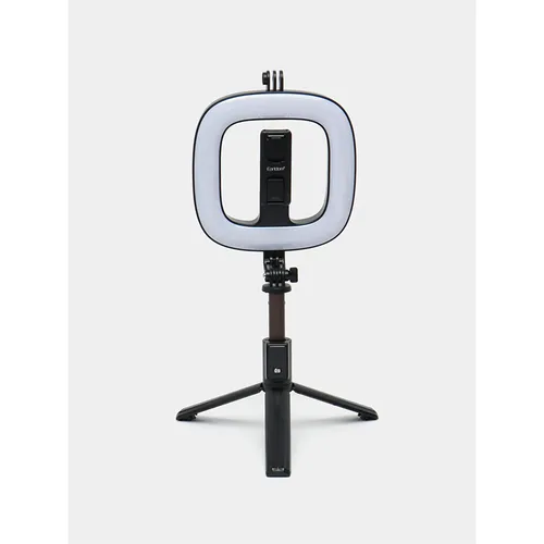 Earldom ZP21 Ring Light Selfie Stick Tripod