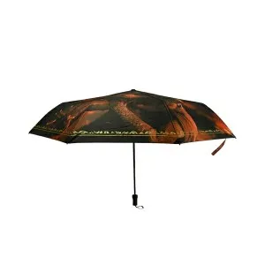 Elden Ring Umbrella