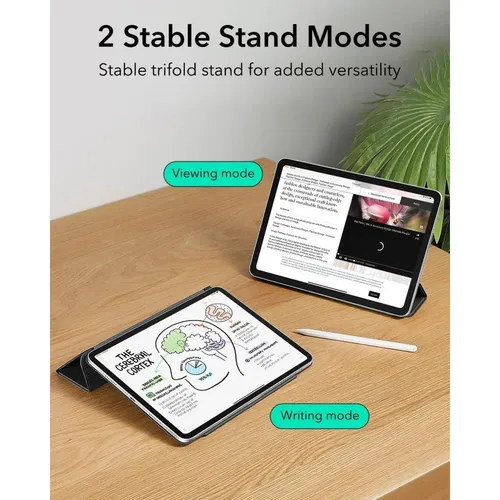 ESR Rebound Magnetic Case for iPad 12th Gen A18