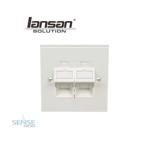 FACE PLATE - LANSAN 2 PORT 45 DEGREE INNER(LFP02)