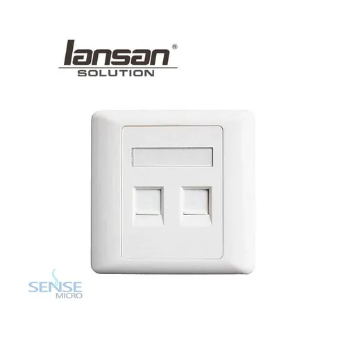 FACE PLATE - LANSAN 2 PORT FLAT (LFP002)