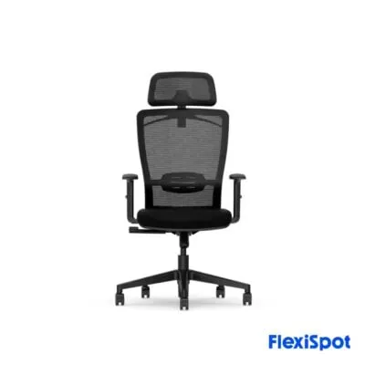 Flexispot BS3 – Ergonomic Swivel Office Chair
