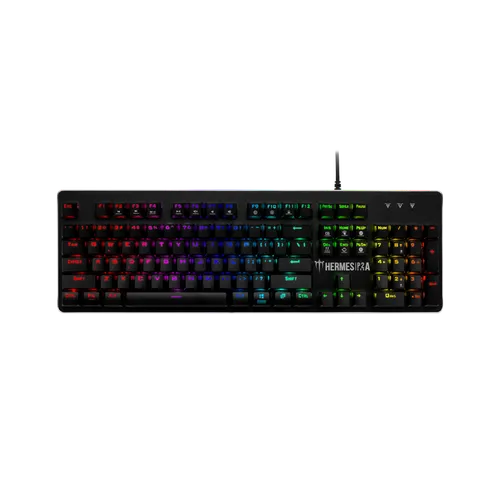 GAMDIAS HERMES P2A RGB MECHANICAL GAMING KEYBOARD(1y)