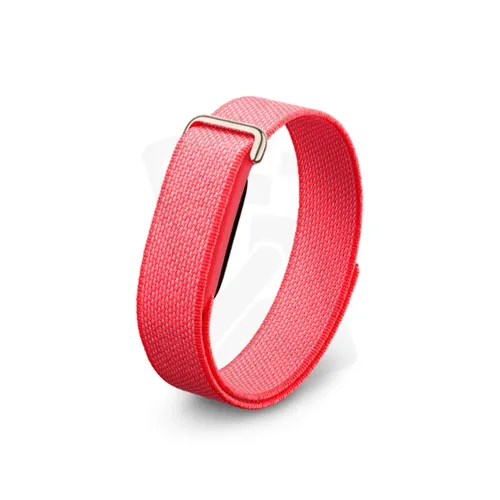 Google Fitbit Air