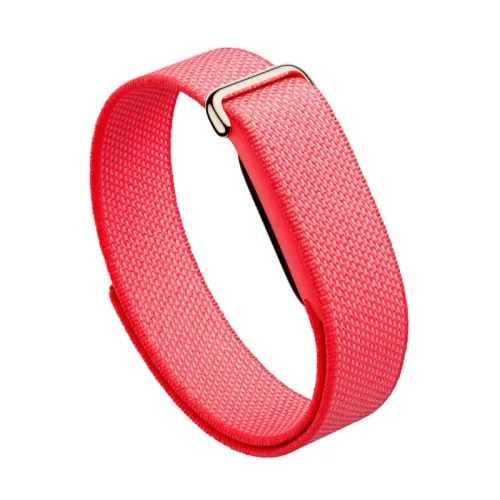 Google Fitbit Air