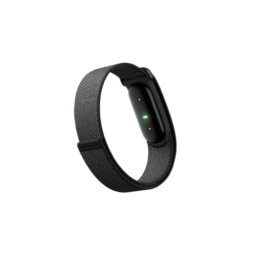 Google Fitbit Air