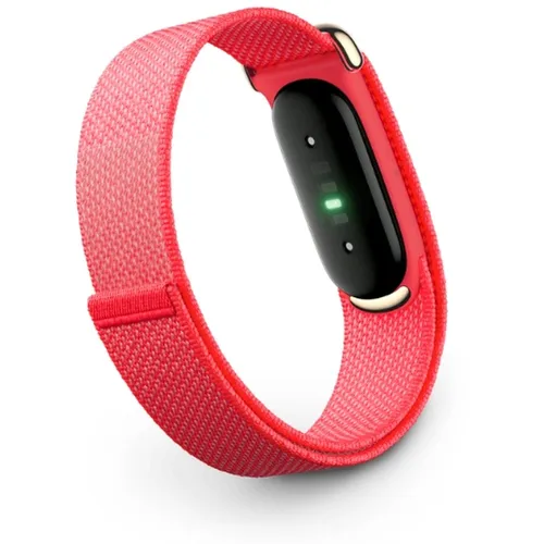 Google Fitbit Air